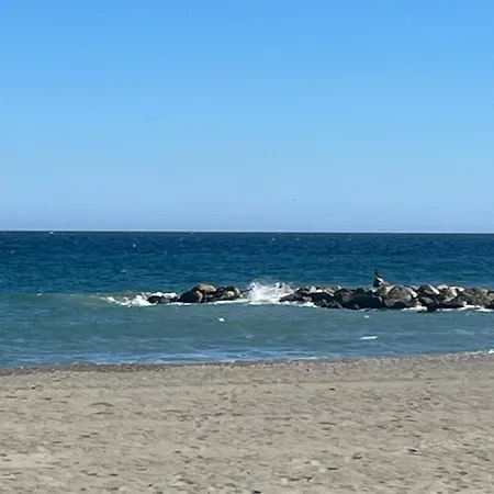 Lyrioshomes Precioso Puerto De Daire